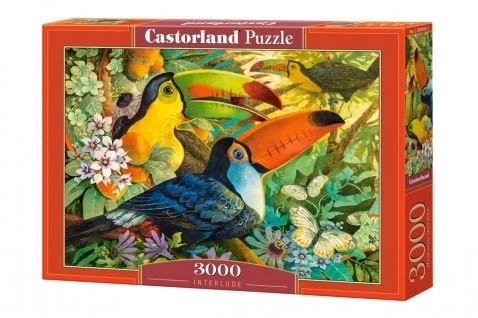 Farebné tukany puzzle 3000 dielikov