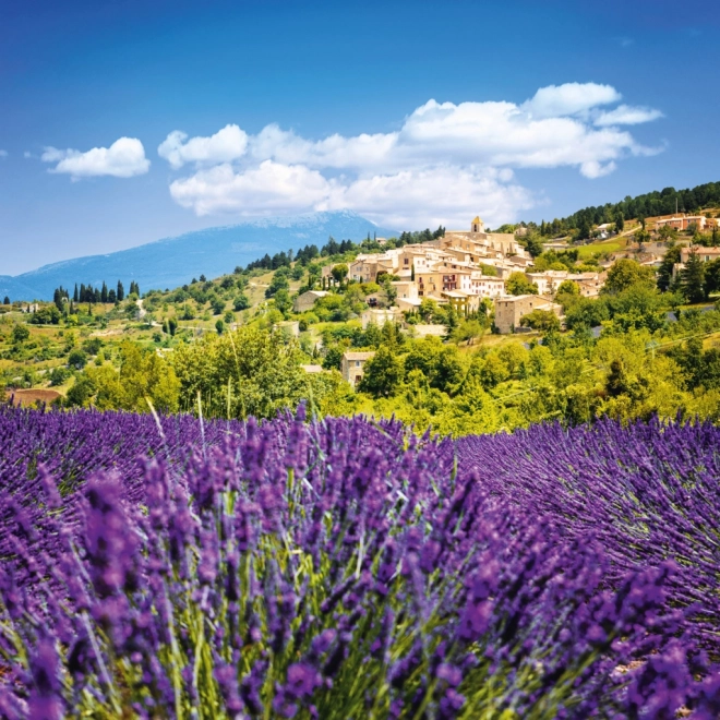 Poznámkový kalendár Provence 2026