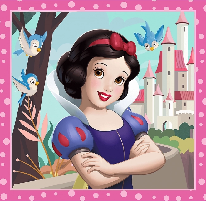 Puzzle 3v1 Disney princezné Krásne kvety