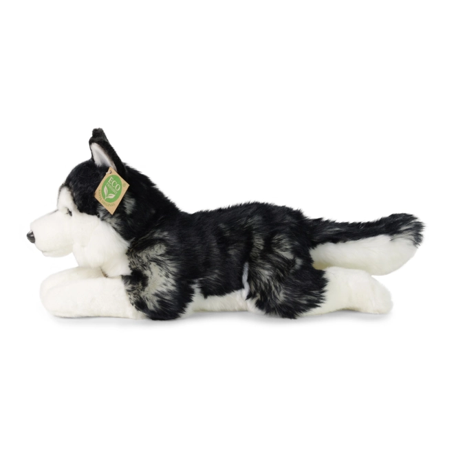 Plyšový pes Husky ekologický 36 cm