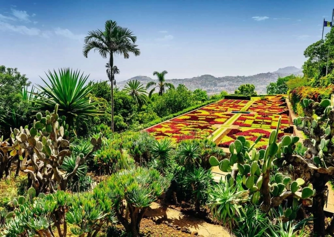 Puzzle čarovné záhrady: Botanická záhrada Madeira 1000 dielikov