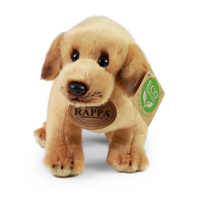 Eco‑friendly výplň z recyklovaných PET