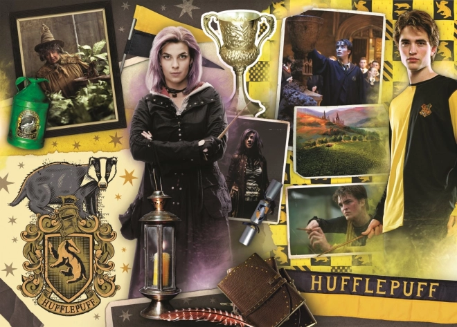 Puzzle Harry Potter 4v1