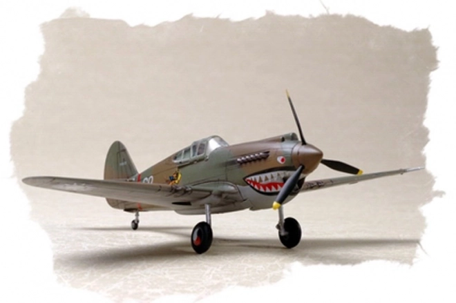 Model P-40 Hawk