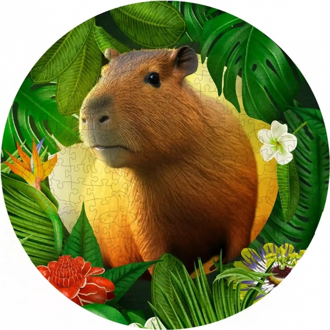 Drevené puzzle kapybara 250 dielikov