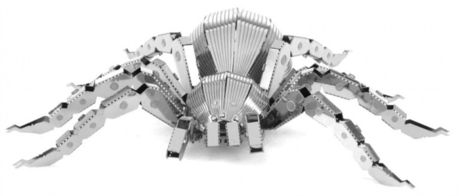 3D puzzle tarantula