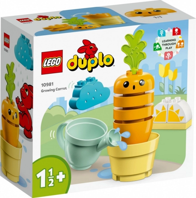 LEGO Duplo Pestovanie Mrkvy