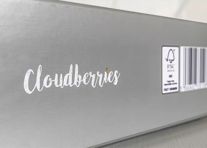 Puzzle Cascade 500 dielikov od Cloudberries