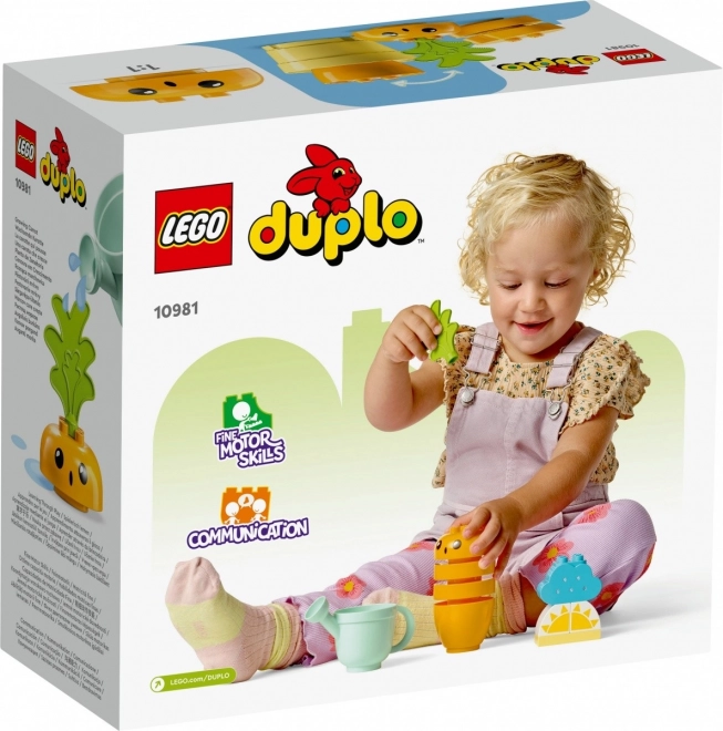 LEGO Duplo Pestovanie Mrkvy