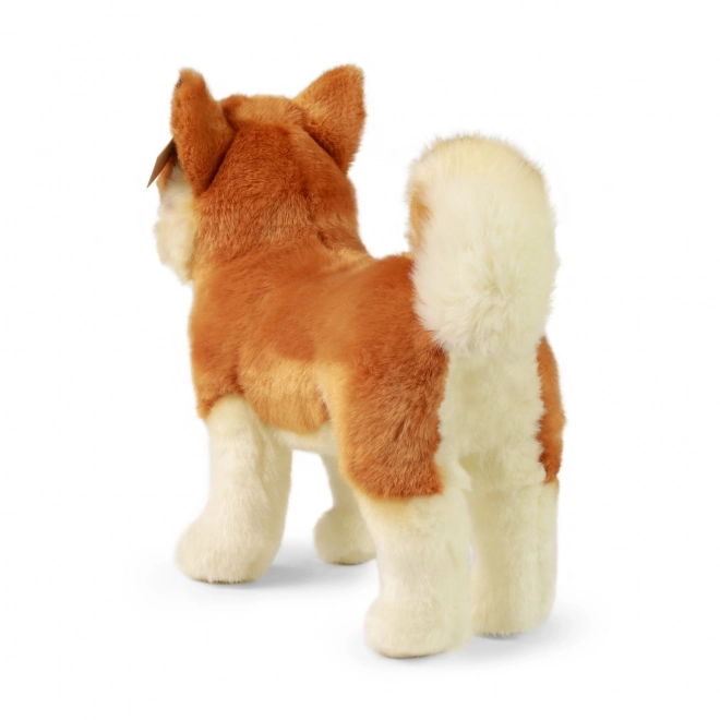 Plyšový pes Akita Inu ekologický 30 cm