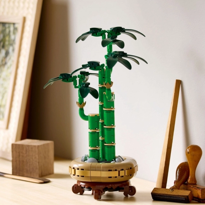 Dekoratívna rastlina LEGO Botanicals Dracena Sander