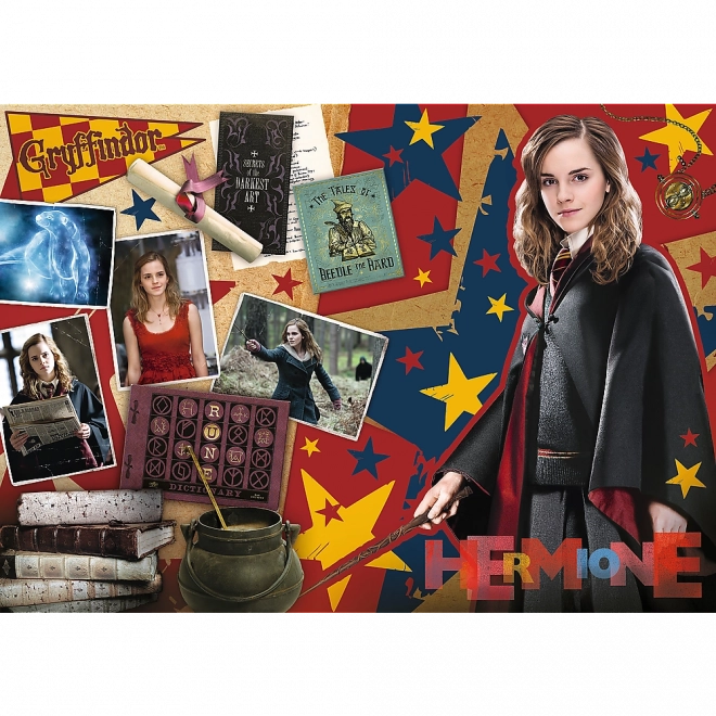 Puzzle Harry Potter: Ron, Hermiona a Harry