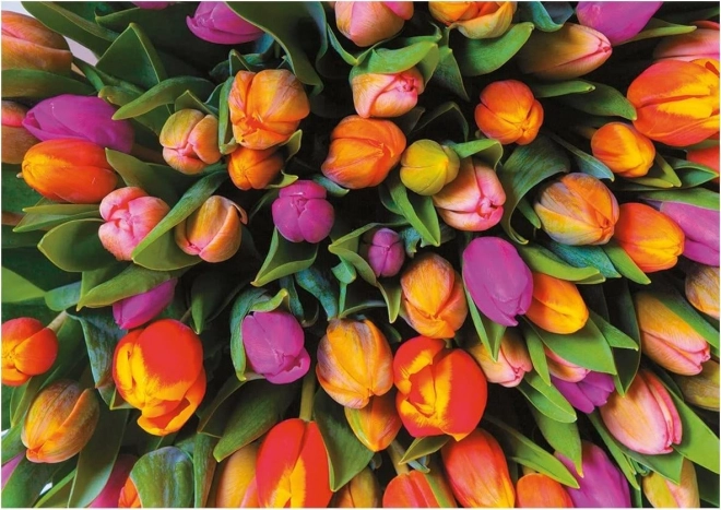 Puzzle Tulipány 1000 Dielikov