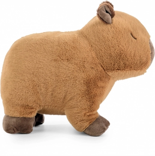 Prirodzený, upokojujúci dizajn