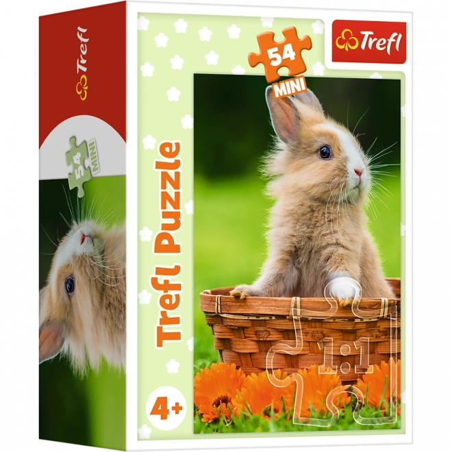 Minipuzzle Zvieratká - mláďatá