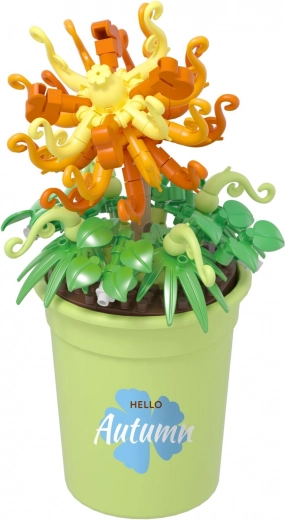 Sezónne motívy a farebné variácie