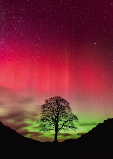 Puzzle Heye Sila prírody: Sycamore Gap, 1000 dielikov