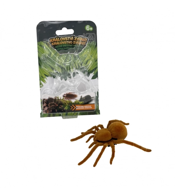 Rútiaca sa tarantula pre deti