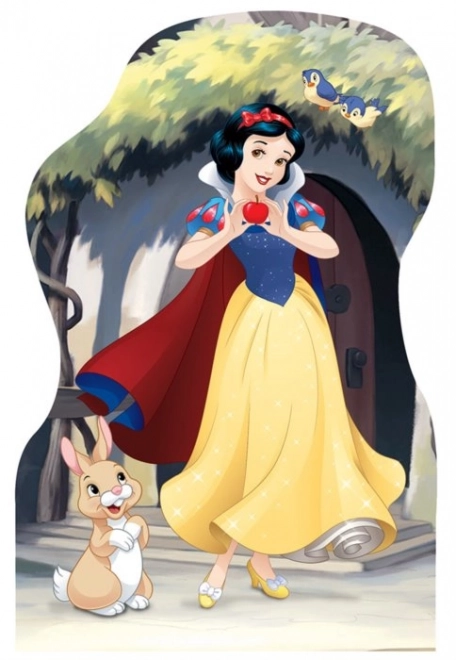 Puzzle Disney Princezné 4x54 dielikov