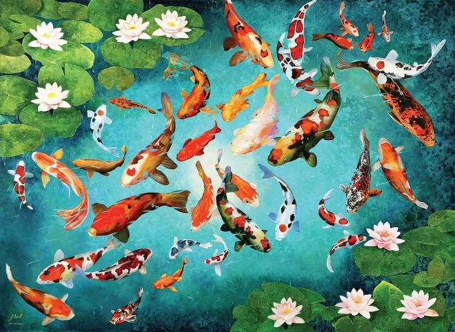 Puzzle Koi Kapre 1000 Dielikov