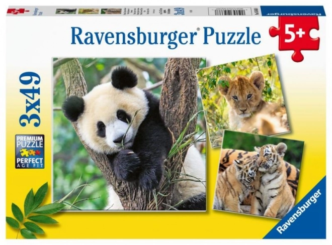 Puzzle Panda, Tiger a Lev 3x49 Dielikov