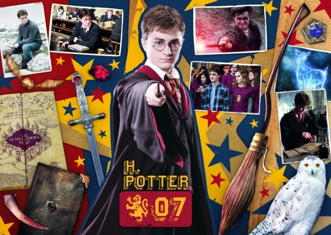 Puzzle Harry Potter: Ron, Hermiona a Harry