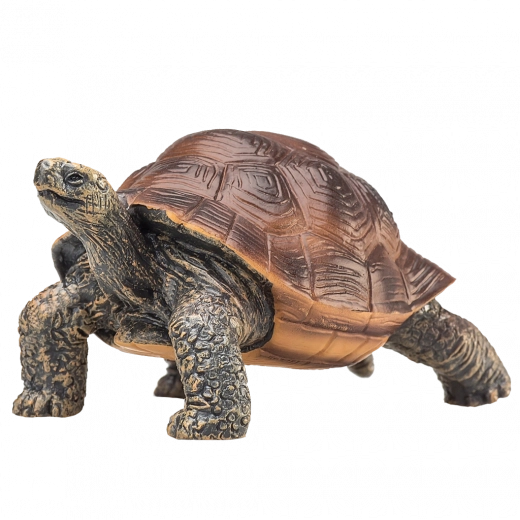 Skvelé na hru aj do zbierky