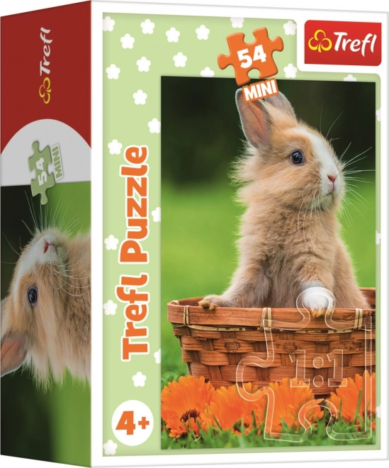 Trefl Puzzle Roztomilý Králik v Košíku 54 Dielikov