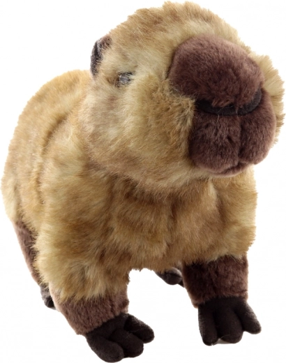 Realistické detaily