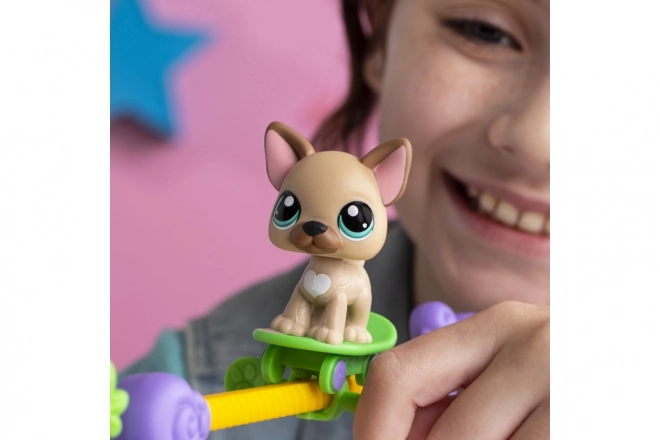 Herná sada Littlest Pet Shop Zvieratká majú talent