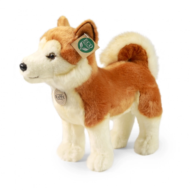 Plyšový pes Akita Inu ekologický 30 cm