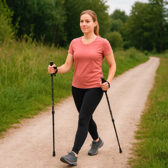Skladacie trekingové palice Nordic Walking, čierne, 2 ks