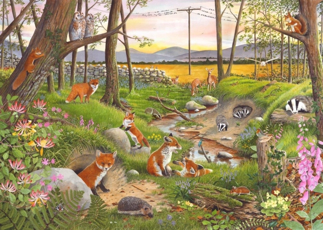 Puzzle Letný súmrak 250 dielikov