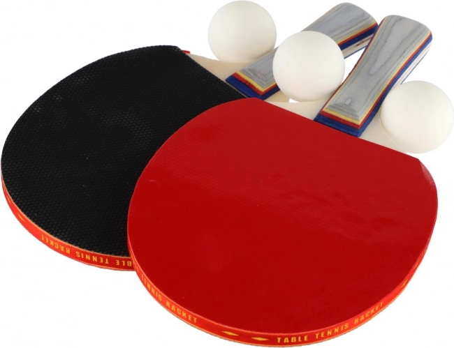 Súprava na stolný tenis: 2 rakety + 3 loptičky v puzdre