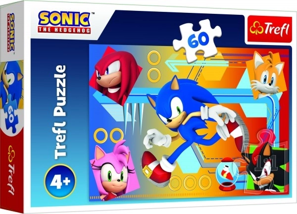 Puzzle 60 dielikov Sonic v akcii