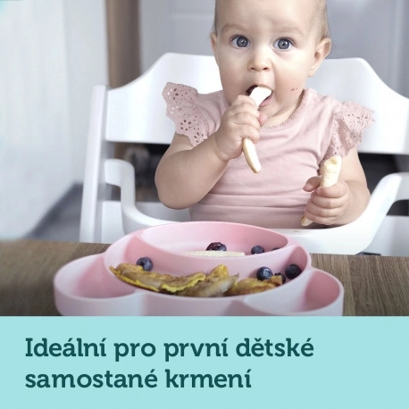 Silikónový delený tanier pre deti v tvare Medveďa od Canpol Babies