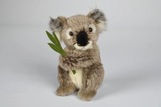 Plyšová koala