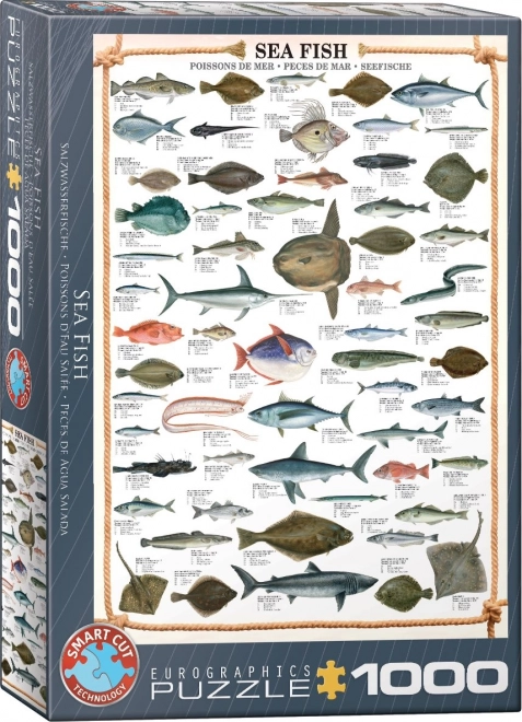 Eurographics puzzle morské ryby 1000 dielikov