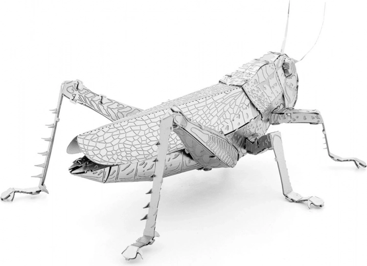 Kovový zberateľský kúsok na vystavenie