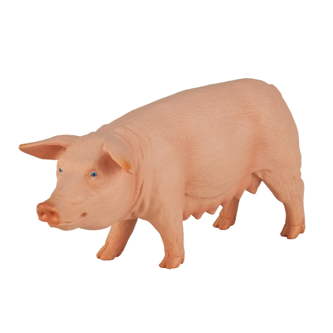 Verná podoba a sfarbenie