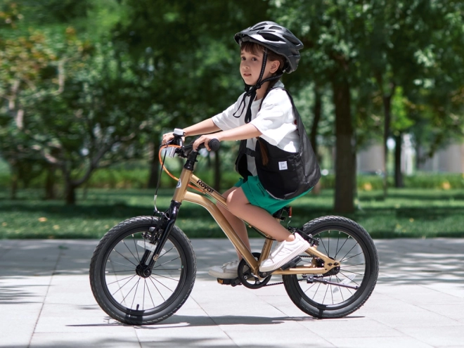Royalbaby Detský Bicykel Gold Belt 16" – Zlatá