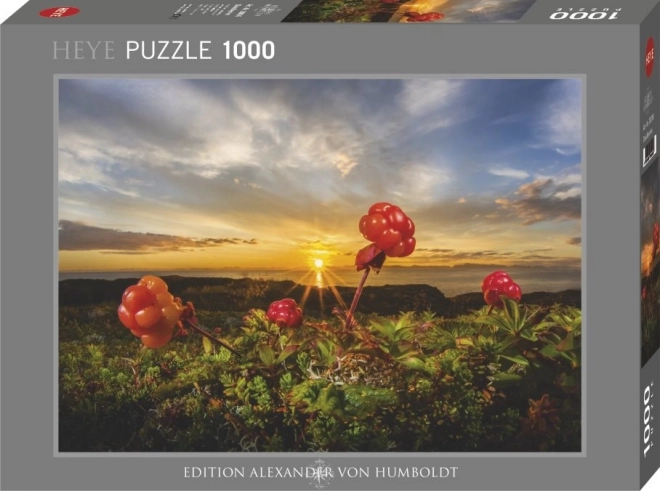 Heye Puzzle Ostružiny 1000 dielikov