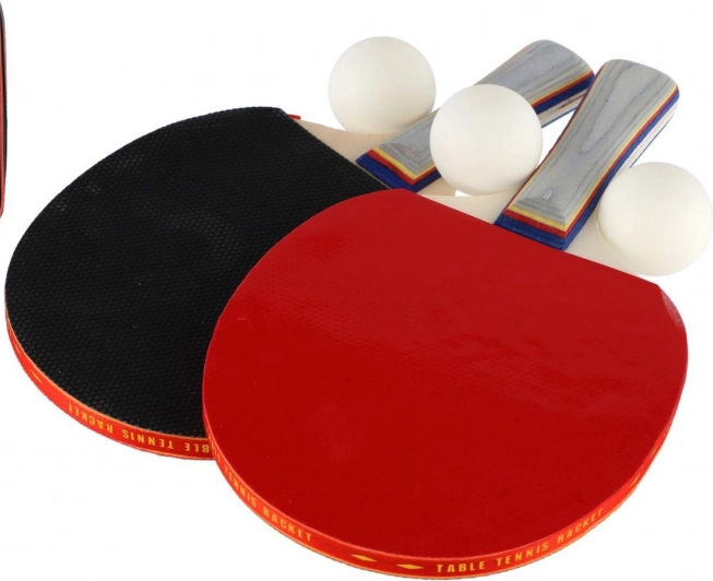 Súprava na stolný tenis: 2 rakety + 3 loptičky v puzdre