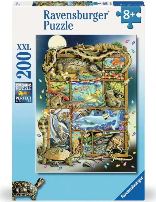 Puzzle Ryby a plazy XXL 200 dielikov