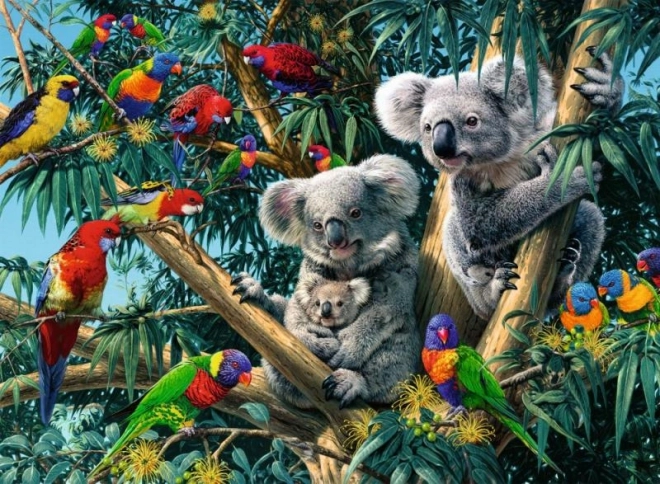 Puzzle Koaly na Strome 500 Dielov