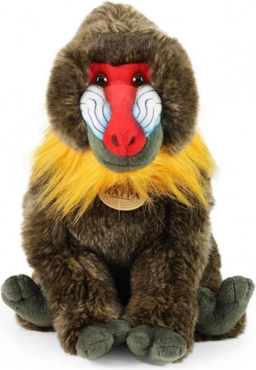 Bezpečné mojkanie od prvých dní