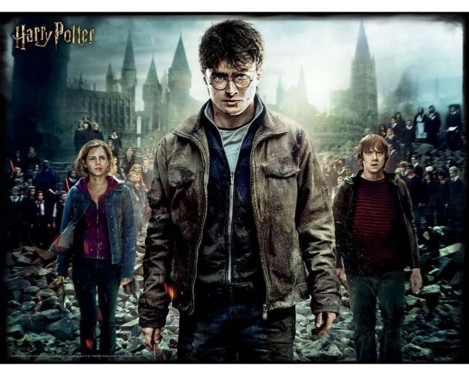 3D Puzzle Harry Potter: Harry, Hermiona & Ron XL 300 dielikov