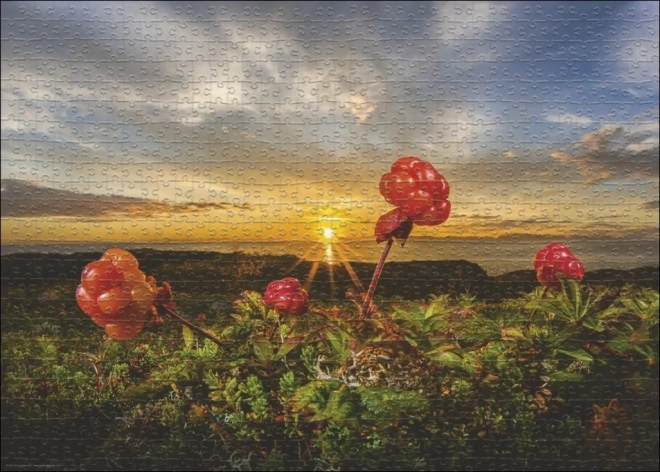 Heye Puzzle Ostružiny 1000 dielikov