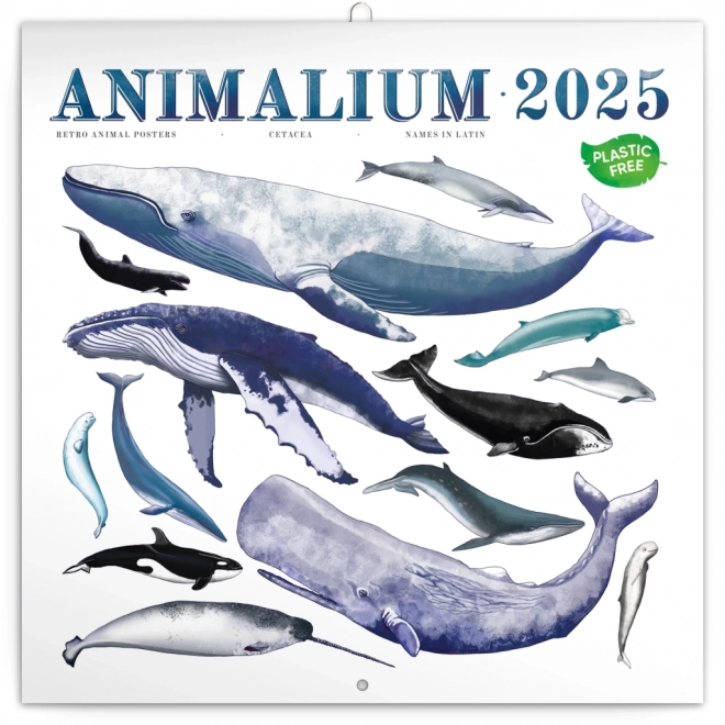 Poznámkový kalendár Animalium 2025