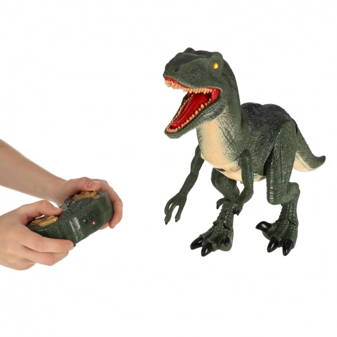 Interaktívny Dinozaur Velociraptor RC